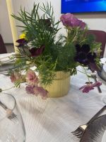 Juicy grilled pork chops served on a white plate, perfect for a tasty meal.